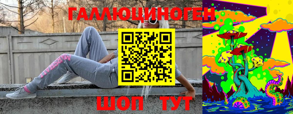 Магадан  Псилоцибиновые грибы GOLDEN TEACHER  Вход с VPN 